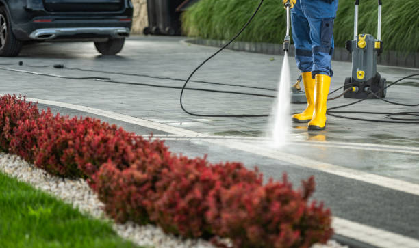 Best Deck Cleaning Services  in La Crescenta Montrose, CA